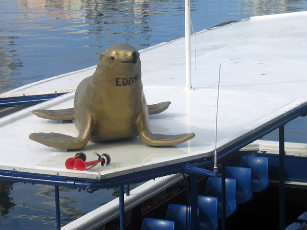 Golden seal Eddy