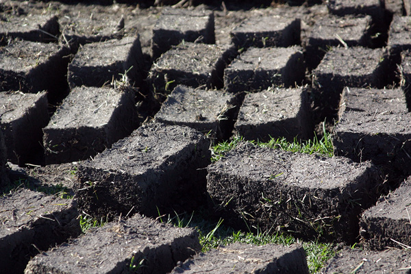 Dung bricks