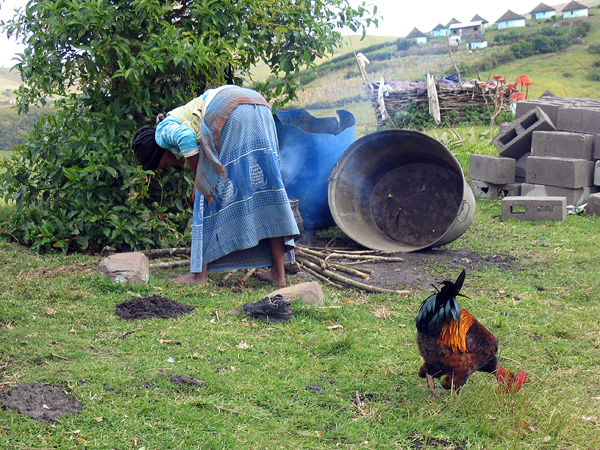 Cooking