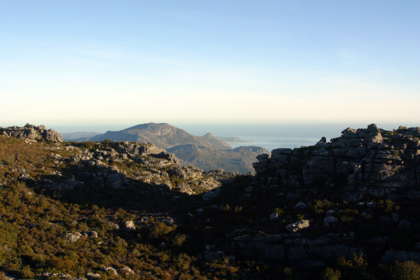 Top of Table Mountain