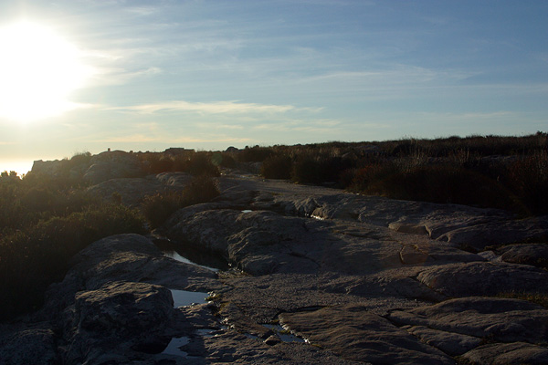 Right before sunset