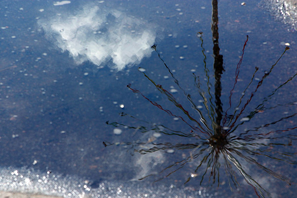Reflections