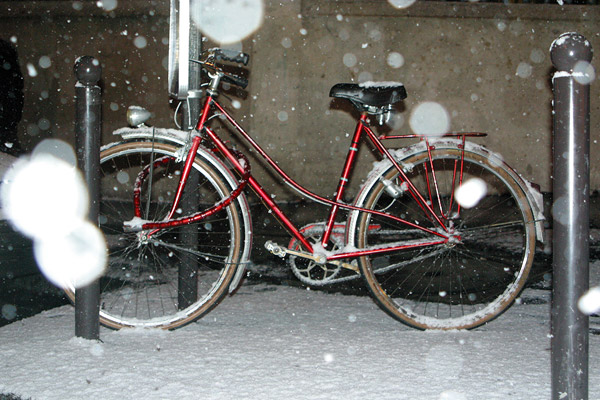 Bicycle