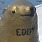 Golden seal Eddy